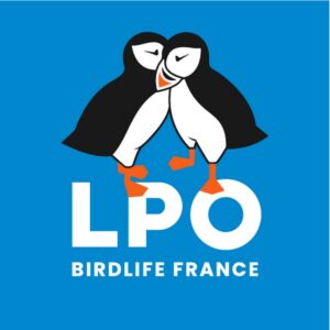 Protégez vos amis les oiseaux