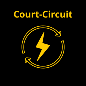 Lire la suite à propos de l’article COURT-CIRCUIT – Tiers Lieu Le Loccus.