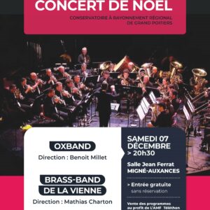 Lire la suite à propos de l’article LE CONCERT DE NOËL VOUS ATTEND à MIGNÉ-AUXANCES