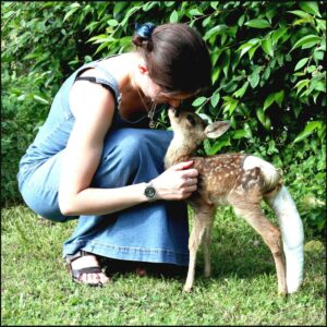 Lire la suite à propos de l’article Centre de Soins de la Faune Sauvage Poitevine