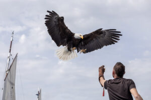 Lire la suite à propos de l’article LES CIELS DE LÉGENDES A VOIR CE VENDREDI , L’HIVER EST IL VRAIMENT LA ET STAGIAIRE AU MICRO !!!