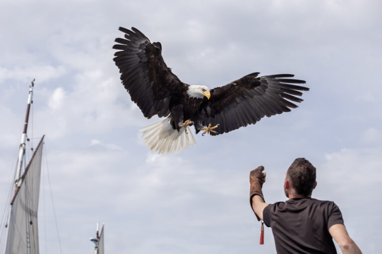 Lire la suite à propos de l’article LES CIELS DE LÉGENDES A VOIR CE VENDREDI , L’HIVER EST IL VRAIMENT LA ET STAGIAIRE AU MICRO !!!