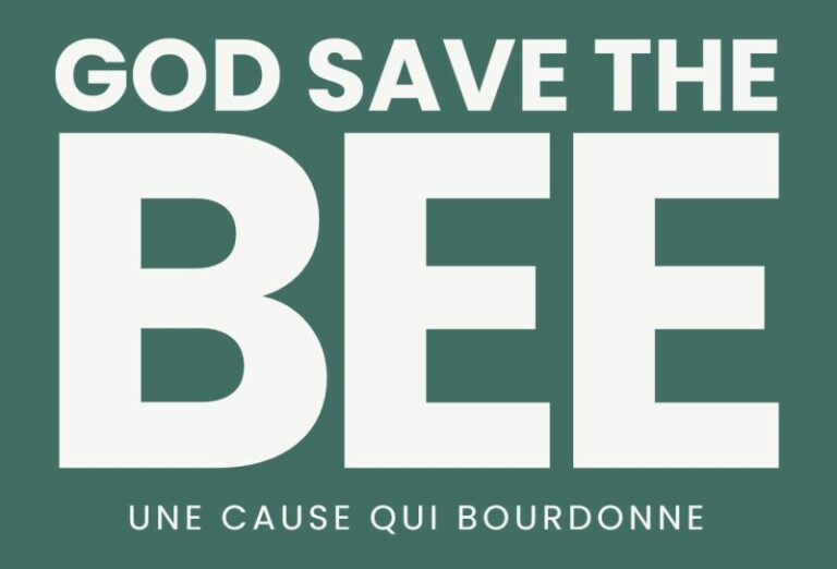 Lire la suite à propos de l’article GOD SAVE THE BEE : UN DISPOSITIF POUR SAUVER L&rsquo;APICULTURE , INNNOVATION ET 1001 PATTES !!!
