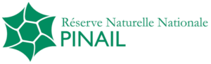 Lire la suite à propos de l’article INTERVIEW LA RÉSERVE NATURELLE DU PINAIL